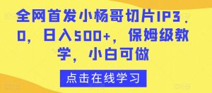 全网首发小杨哥切片IP3.0，日入500+，保姆级教学，小白可做【揭秘】-沐风资源库