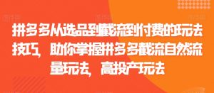 拼多多从选品到截流到付费的玩法技巧，助你掌握拼多多截流自然流量玩法，高投产玩法-沐风资源库
