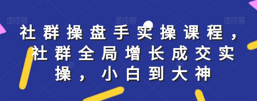 社群实操课程，社群全局增长成交实操，小白到大神-沐风资源库