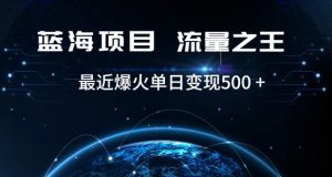 好评返现项目，稳定，小白速学月入过万【仅揭秘】-沐风资源库