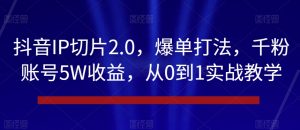 抖音IP切片2.0，爆单打法，千粉账号5W收益，从0到1实战教学【揭秘】-沐风资源库