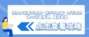 拼多多运营不理想？新手不会做？​15节系列课+2节直播课，直接掌握-沐风资源库