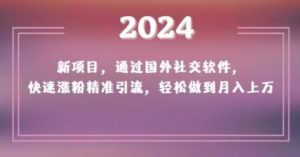 2024新项目，通过国外社交软件，快速涨粉精准引流，轻松做到月入上万【揭秘】-沐风资源库