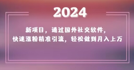 2024新项目，通过国外社交软件，快速涨粉精准引流，轻松做到月入上万【揭秘】-沐风资源库