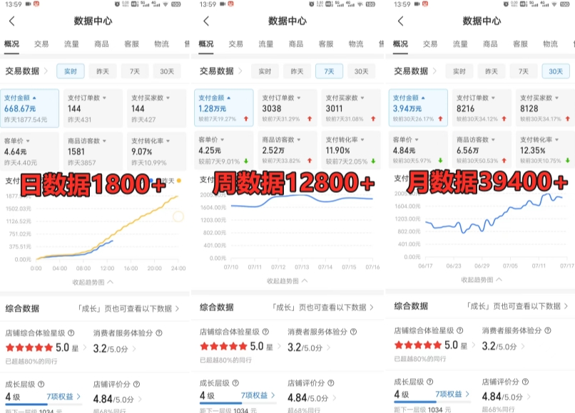 拼多多虚拟电商训练营月入30000+你也行，暴利稳定长久，副业首选-沐风资源库