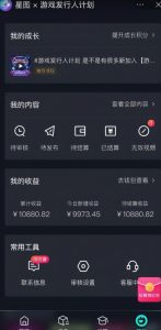 游戏发行人计划最新玩法，单条变现10000+，小白无脑掌握【揭秘】-沐风资源库