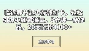 临近春节超火存钱打卡，轻松引爆小红薯流量，3分钟一条作品，20天涨粉4000+【揭秘】-沐风资源库