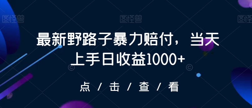 最新野路子暴力赔付，当天上手日收益1000+【仅揭秘】-沐风资源库