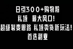 日引300+购物粉，超级裂变思路，私域卖货新玩法，小红书首选副业【揭秘】-沐风资源库