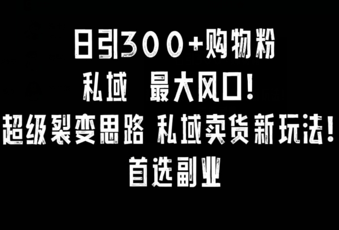 日引300+购物粉，超级裂变思路，私域卖货新玩法，小红书首选副业【揭秘】-沐风资源库