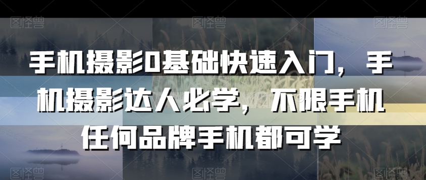 手机摄影0基础快速入门，手机摄影达人必学，不限手机任何品牌手机都可学-沐风资源库