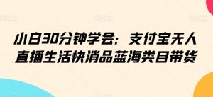 小白30分钟学会：支付宝无人直播生活快消品蓝海类目带货【揭秘】-沐风资源库
