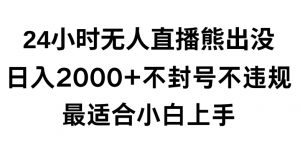 快手24小时无人直播熊出没，不封直播间，不违规，日入2000+，最适合小白上手，保姆式教学【揭秘】-沐风资源库