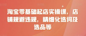 淘宝零基础起店实操课，店铺规避违规，精细化选词及选品等-沐风资源库