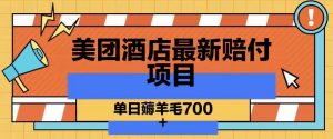 美团酒店最新赔付项目，单日薅羊毛700+【仅揭秘】-沐风资源库
