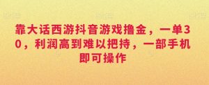 靠大话西游抖音游戏撸金，一单30，利润高到难以把持，一部手机即可操作，日入3000+【揭秘】-沐风资源库