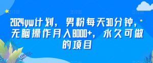 2024yw计划，男粉每天30分钟，无脑操作月入8000+，永久可做的项目【揭秘】-沐风资源库
