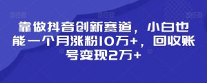 靠做抖音创新赛道，小白也能一个月涨粉10万+，回收账号变现2万+【揭秘】-沐风资源库