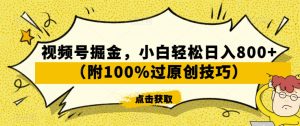 视频号掘金，小白轻松日入800+（附100%过原创技巧）【揭秘】-沐风资源库