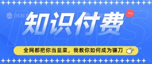 2024最新知识付费项目，小白也能轻松入局，全网都在教你做项目，我教你做镰刀【揭秘】-沐风资源库