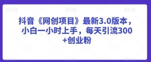 抖音《网创项目》最新3.0版本，小白一小时上手，每天引流300+创业粉【揭秘】-沐风资源库