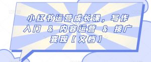 小红书运营成长课，写作入门&内容运营&接广变现【文档】-沐风资源库