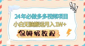 人人都能操作的蓝海多多视频带货项目，小白无脑搬运月入10000+【揭秘】-沐风资源库
