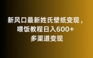 新风口最新姓氏壁纸变现，喂饭教程日入600+【揭秘】-沐风资源库