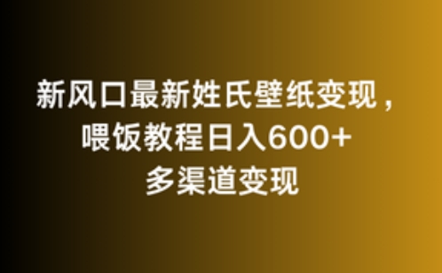 新风口最新姓氏壁纸变现，喂饭教程日入600+【揭秘】-沐风资源库