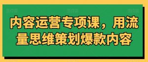 内容运营专项课，用流量思维策划爆款内容-沐风资源库