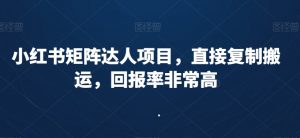 小红书矩阵达人项目，直接复制搬运，回报率非常高-沐风资源库