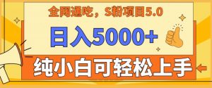 男粉项目5.0，最新野路子，纯小白可操作，有手就行，无脑照抄，纯保姆教学【揭秘】-沐风资源库