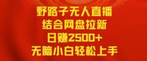 野路子无人直播结合网盘拉新，日赚2500+，小白无脑轻松上手【揭秘】-沐风资源库