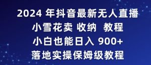 2024年抖音最新无人直播小雪花卖收纳教程，小白也能日入900+落地实操保姆级教程【揭秘】-沐风资源库