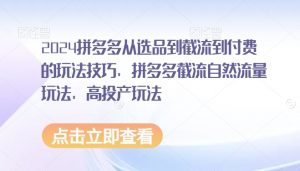 2024拼多多从选品到截流到付费的玩法技巧，拼多多截流自然流量玩法，高投产玩法-沐风资源库