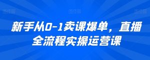 新手从0-1卖课爆单，直播全流程实操运营课-沐风资源库