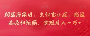 新蓝海项目，支付宝小店，搬运商品和视频，实现月入一万+【揭秘】-沐风资源库