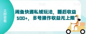 闲鱼快递私域玩法，睡后收益500+，多号操作收益无上限【揭秘】-沐风资源库