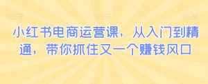 小红书电商运营课，从入门到精通，带你抓住又一个赚钱风口-沐风资源库