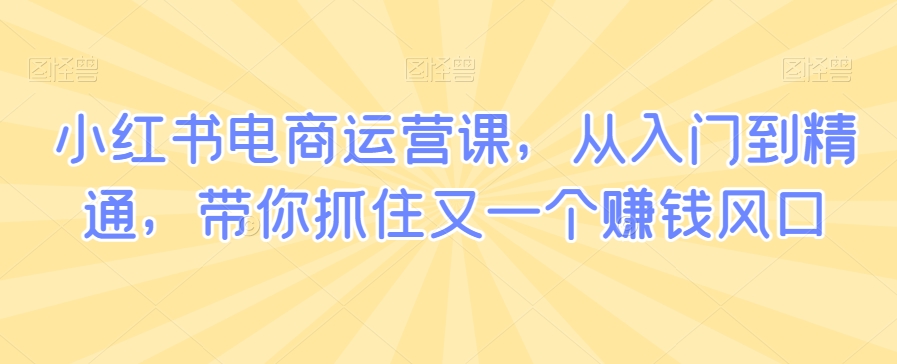 小红书电商运营课，从入门到精通，带你抓住又一个赚钱风口-沐风资源库