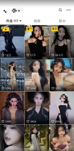 2024利用AI美女视频引粉，单号日引2000+，新手也能干，喂饭式教程【揭秘】-沐风资源库