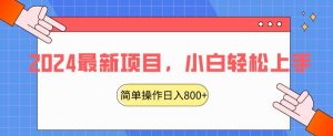 2024最新项目，红娘项目，简单操作轻松日入800+【揭秘】-沐风资源库
