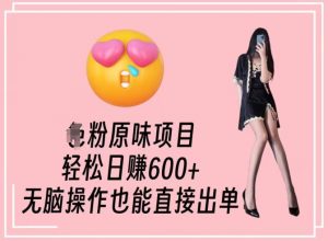 男粉原味项目，轻松日赚800+，无脑操作也能直接出单【揭秘】-沐风资源库