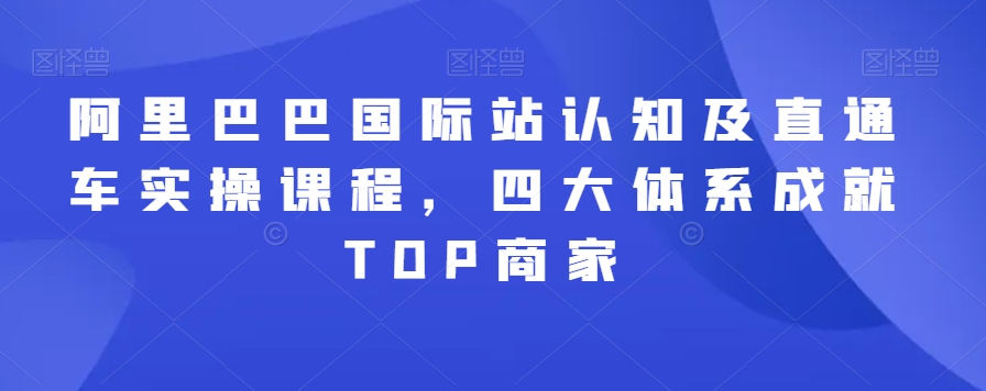 阿里巴巴国际站认知及直通车实操课程，四大体系成就TOP商家-沐风资源库