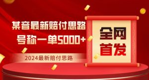 全网首发，2024最新抖音赔付项目，号称一单5000+保姆级拆解【仅揭秘】-沐风资源库
