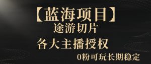 一天收入2000+，最新中视频创新玩法，用AI科技一键改唱影解说刷爆流量收益【揭秘】-沐风资源库