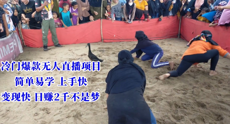 冷门爆款无人直播项目，简单易学上手快，变现快日赚2千不是梦【揭秘】-沐风资源库
