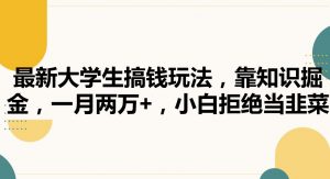 最新大学生搞钱玩法，靠知识掘金，一月两万+，小白拒绝当韭菜【揭秘】-沐风资源库