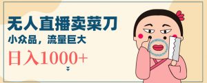 无人冷门品直播新玩法，通过卖菜刀日入1000+【揭秘】-沐风资源库