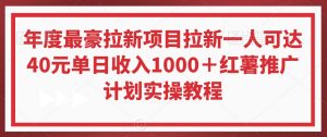 年度最豪拉新项目拉新一人可达40元单日收入1000＋红薯推广计划实操教程【揭秘】-沐风资源库